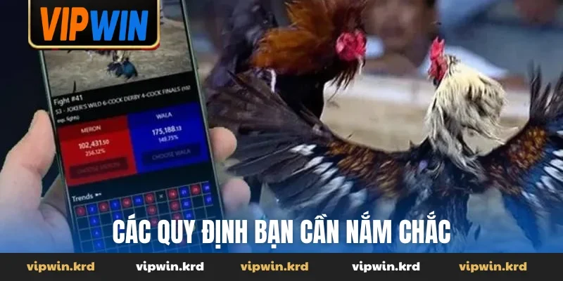 Các quy định bạn cần nắm chắc