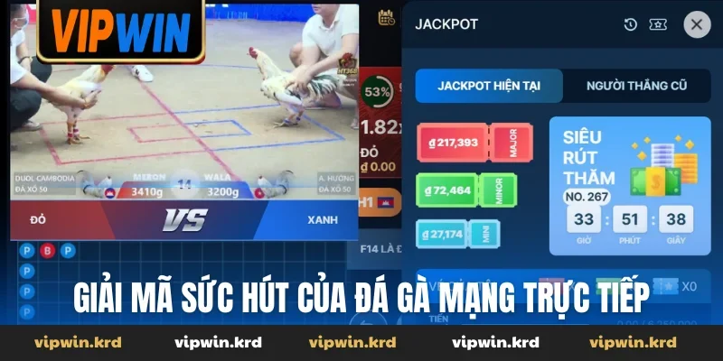 Giải mã sức hút của đá gà mạng trực tiếp