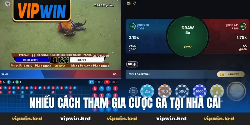 Nhiều cách tham gia cược gà tại nhà cái