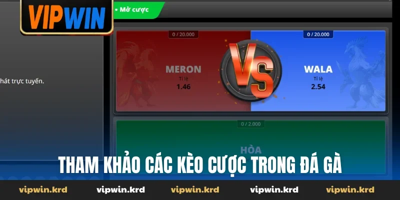 Tham khảo các kèo cược trong đá gà