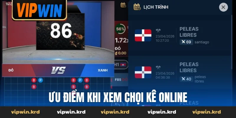 Ưu điểm khi xem chọi kê online